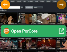 PorCore