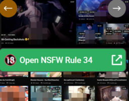 NSFW Rule
