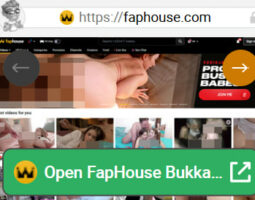 FapHouse Bukkake