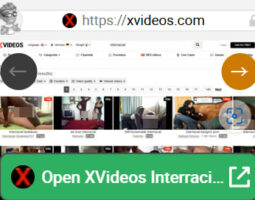 XVideos Interracial