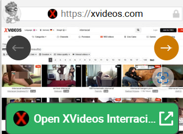 XVideos Interracial
