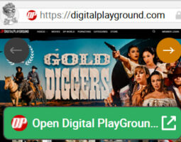 Digital PlayGround Par