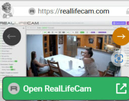 Real Life Cam