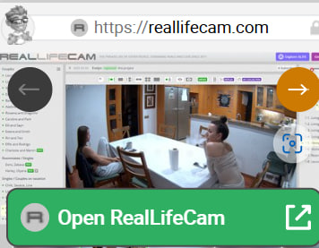 Real Life Cam