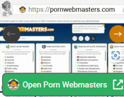 Porn Webmasters