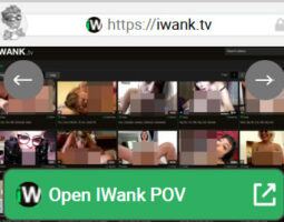 iWank POV