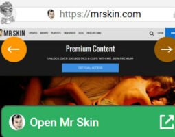 Mr.Skin