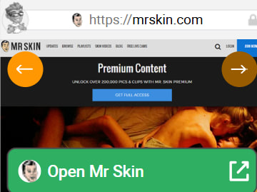 Mr.Skin