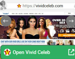 VividCeleb