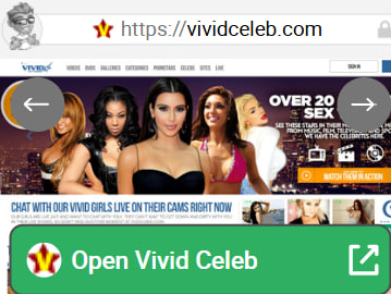 VividCeleb