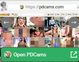 PD in PDCams