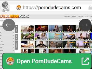 Porndudecams