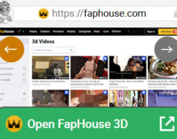 FapHouse3D