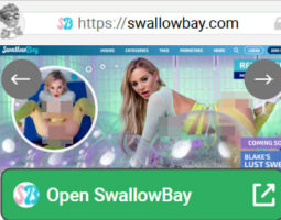 SwallowBay