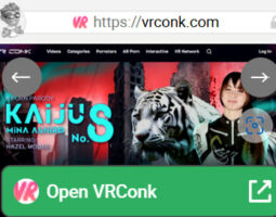 VR Conk