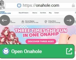 Onahole