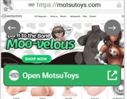 MotsuToys