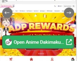 Anime Dakimakura Pillo