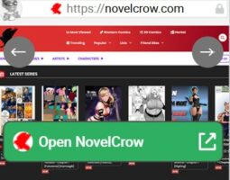 NovelCrow