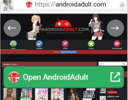 AndroidAdult