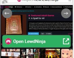 LewdNinja