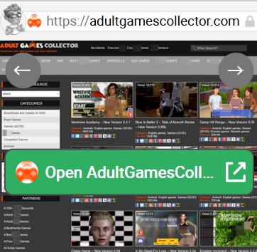 AdultGamesCollector