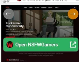 NSFWGamers