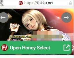 Honey Select