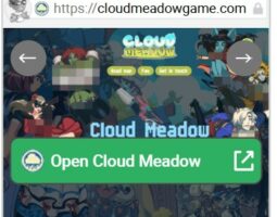 Cloud Meadow