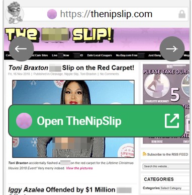 TheNipSlip
