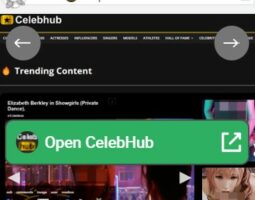 CelebHub