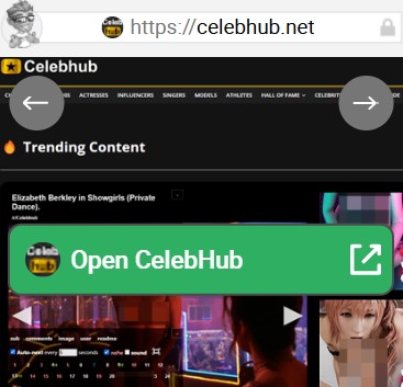CelebHub