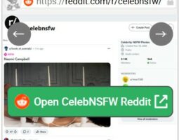 CelebNSFW Reddit