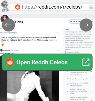 Reddit Celebs