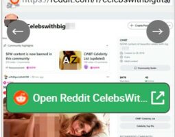 Reddit CelebsWithBigTit