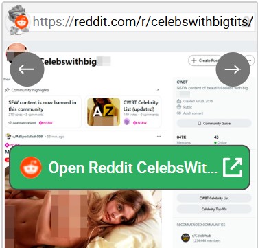 Reddit CelebsWithBigTit