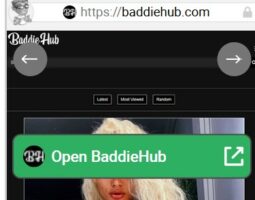BaddieHub