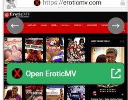 EroticMV