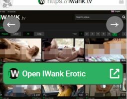 iWank Erotic