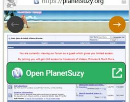 PlanetSuzy