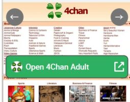 4Chan Adult
