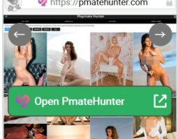 PmateHunte