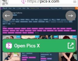 Pics X