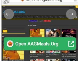 AAGMaals.org