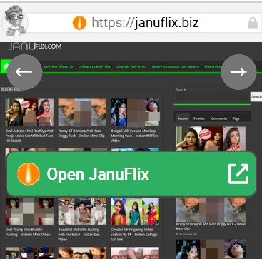 JanuFlix