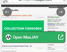 MaxJAV