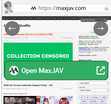 MaxJAV