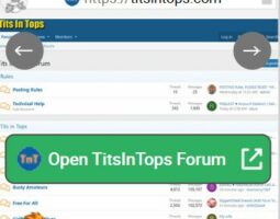 TitsInTops Forum