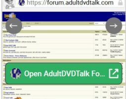 AdultDVDTalk Forum