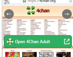 4Chan Adult